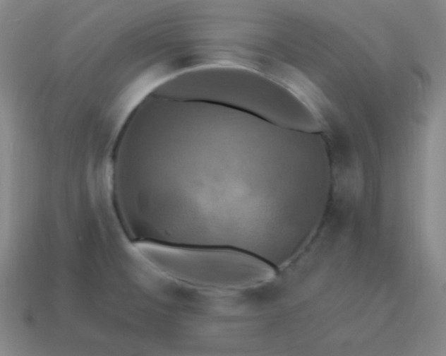 X0000114101476200910191632