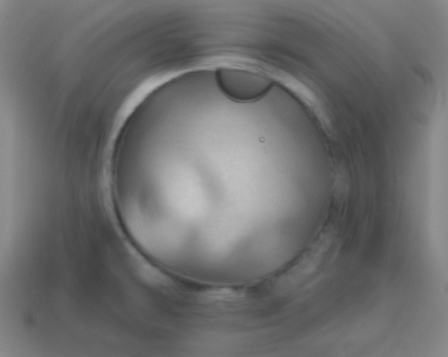 X0000114101478200910191632