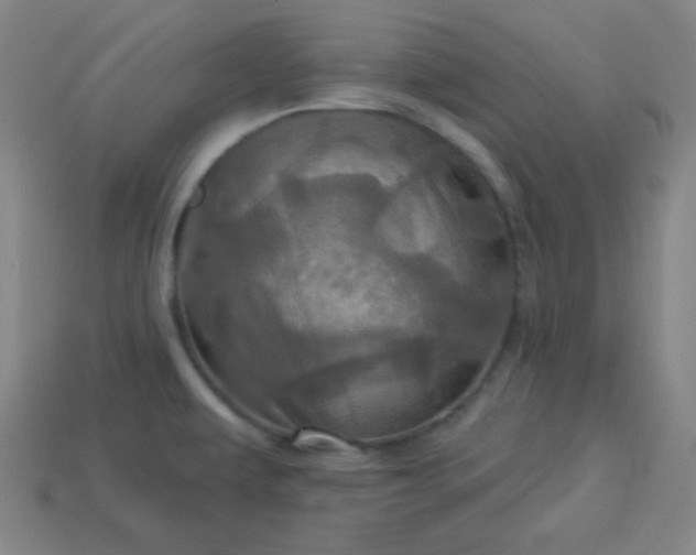 X0000114101479200910191632