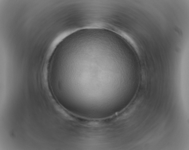 X0000114101480200910191632