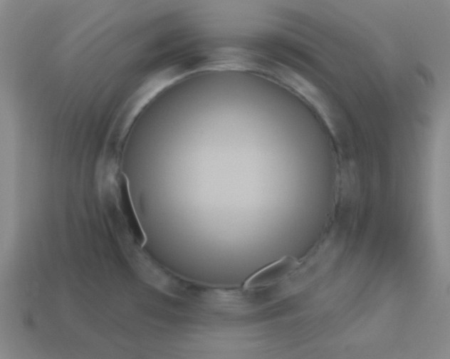 X0000114101481200910191632