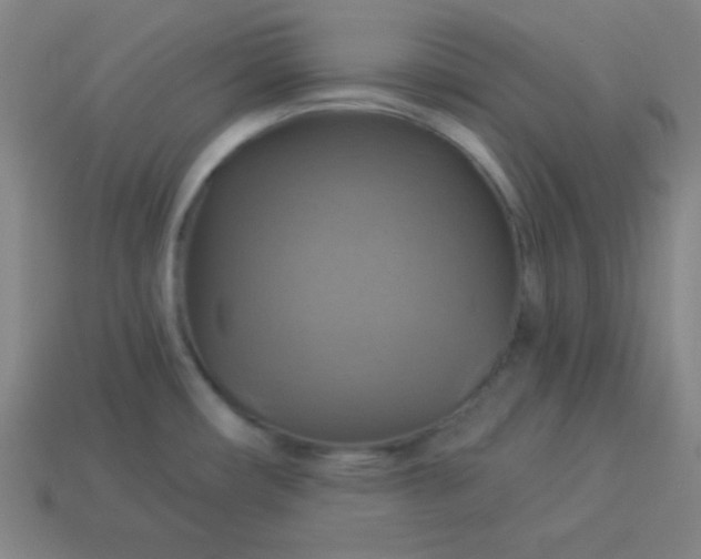 X0000114101482200910191632