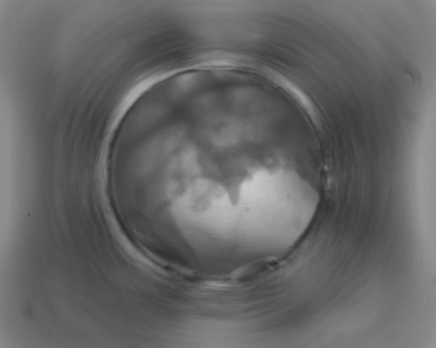 X0000114101483200910191632