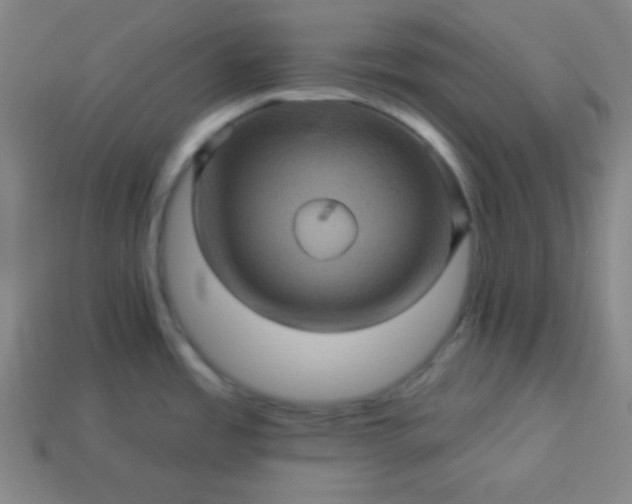 X0000114101485200910191632