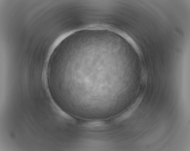 X0000114101486200910191632