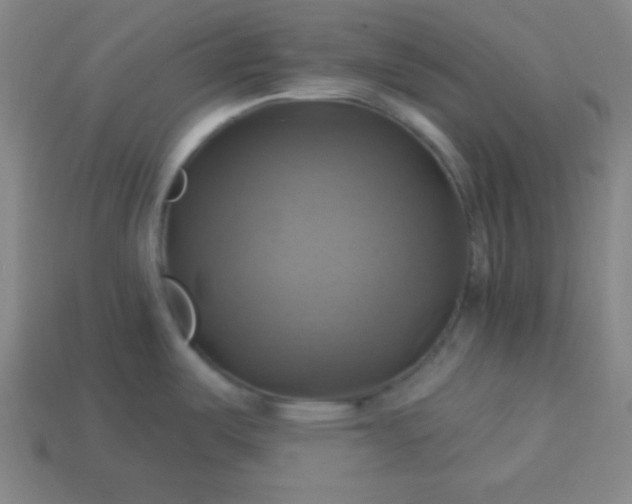 X0000114101487200910191632