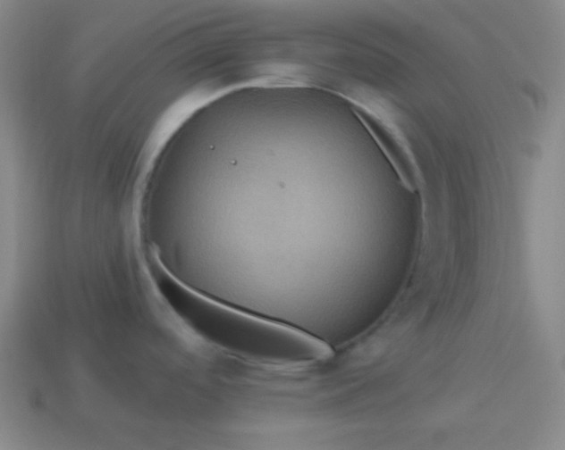 X0000114101488200910191632