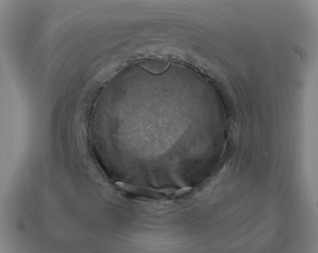 X0000114101489200910191631