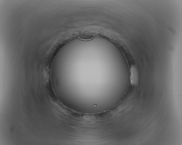 X0000114101491200910191631