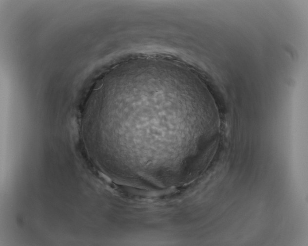 X0000114101493200910191631