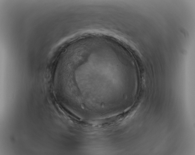 X0000114101494200910191631