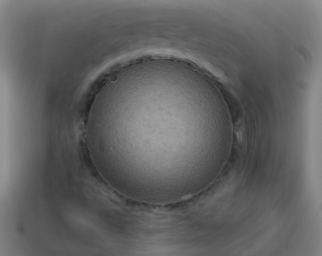 X0000114101495200910191631