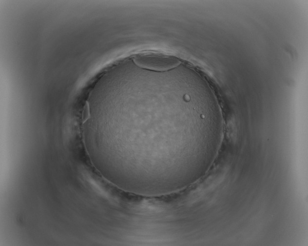 X0000114101496200910191631