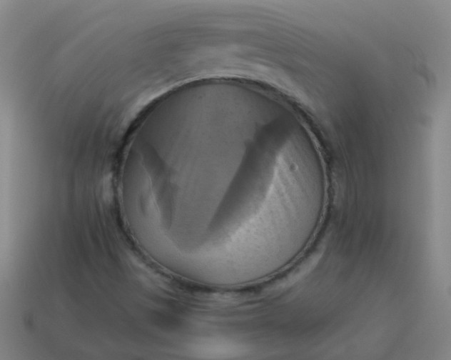 X0000114101497200910191631