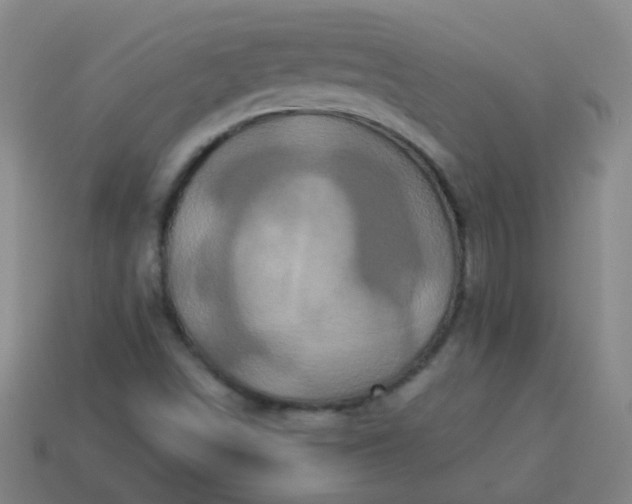 X0000114101498200910191631