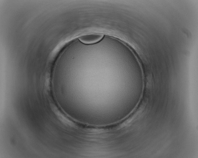 X0000114101499200910191631