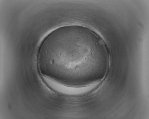 X0000114101500200910191631