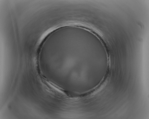 X0000114101501200910191631