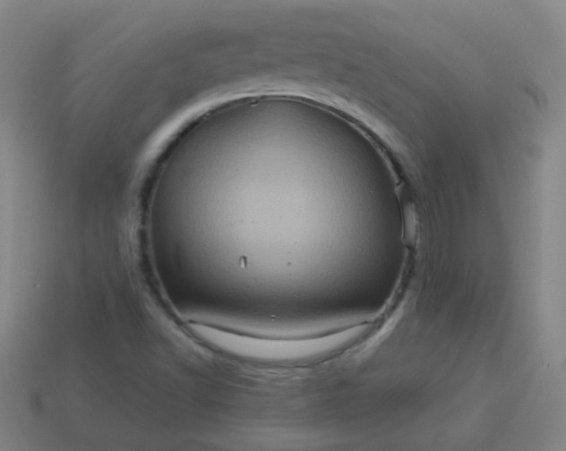 X0000114101502200910191631