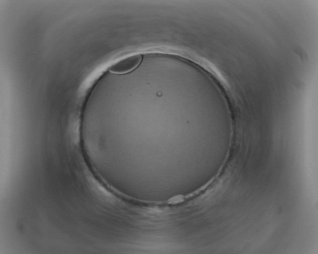 X0000114101504200910191631