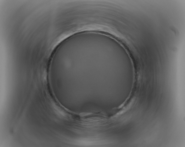 X0000114101505200910191631