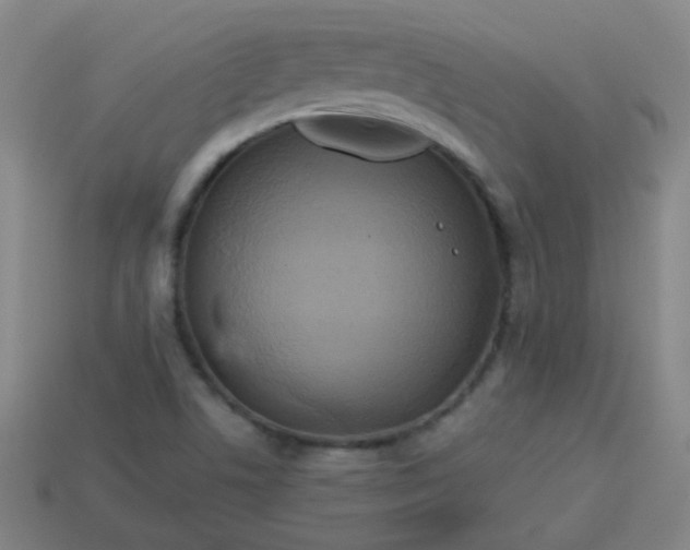 X0000114101506200910191631