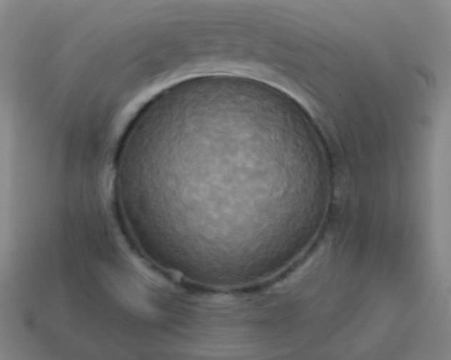 X0000114101507200910191631