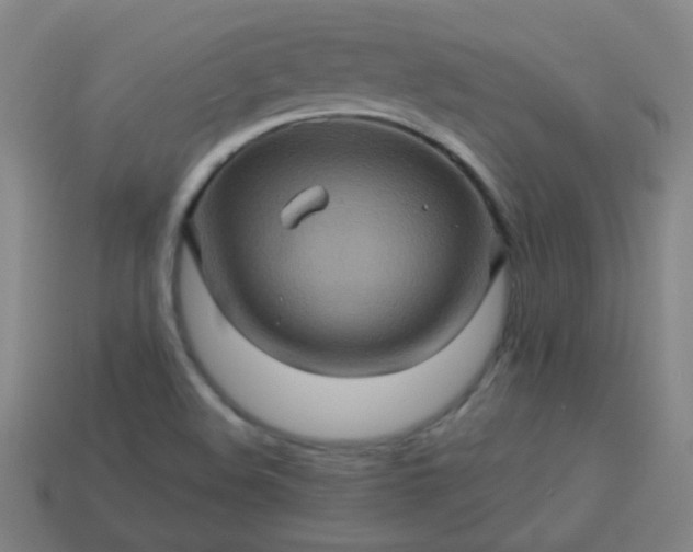 X0000114101508200910191631