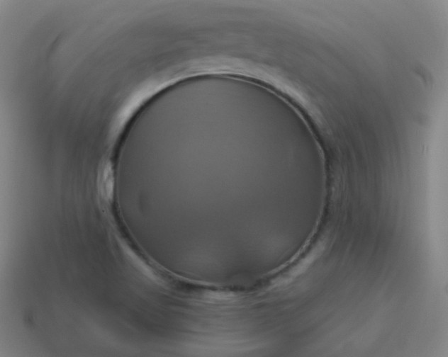 X0000114101509200910191631