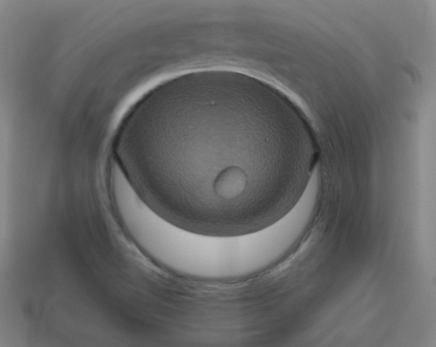 X0000114101510200910191631