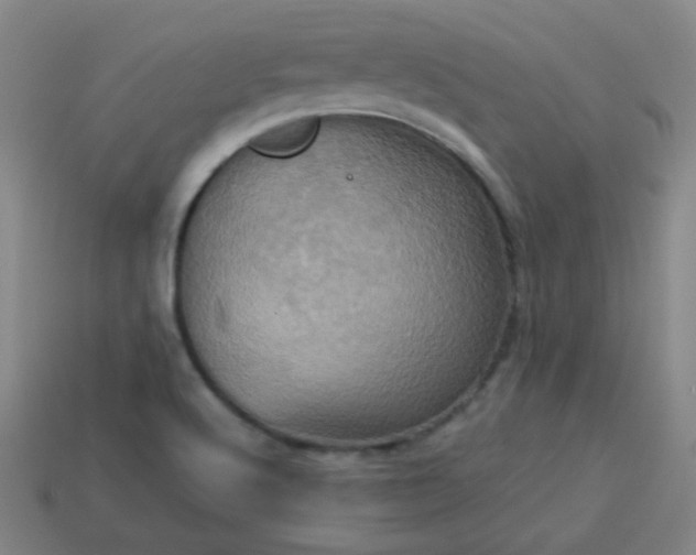 X0000114101512200910191632