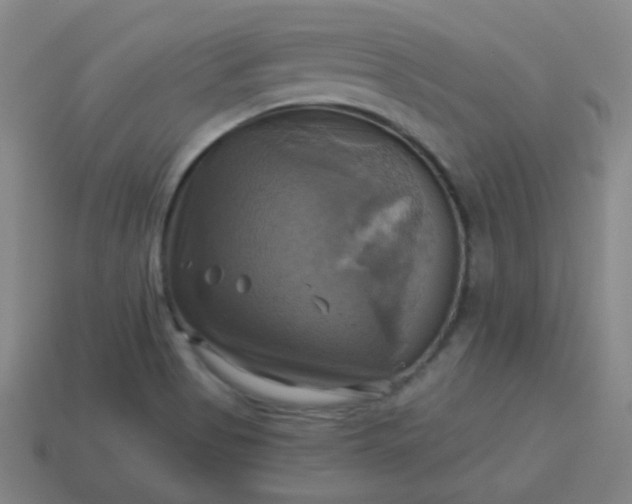 X0000114101513200910191632