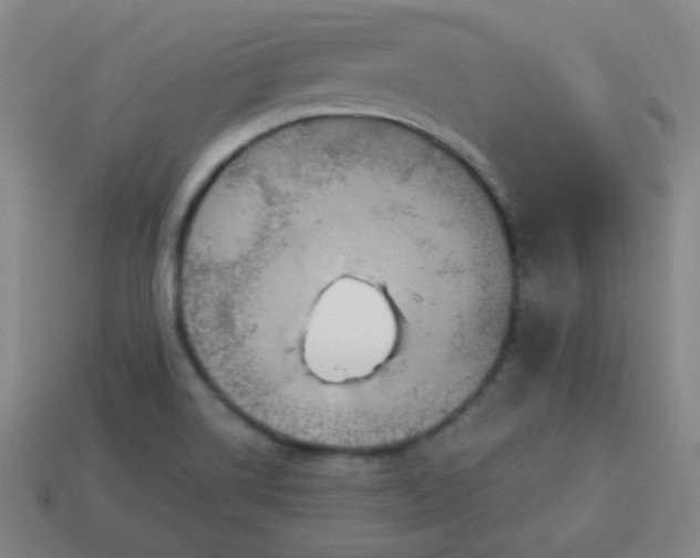 X0000114101514200910191632