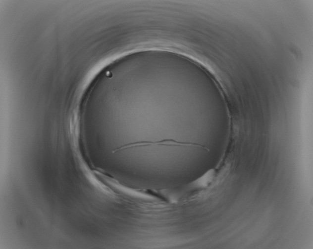 X0000114101515200910191632