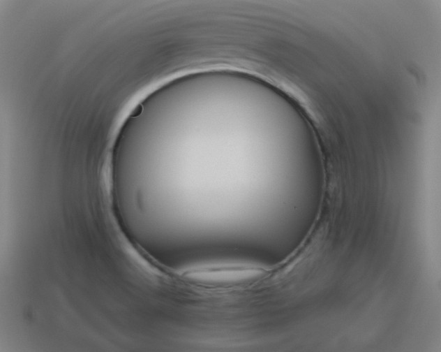 X0000114101516200910191632