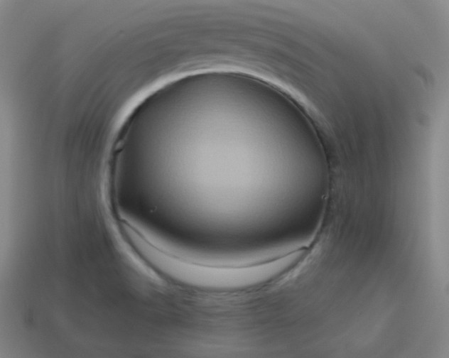 X0000114101518200910191632