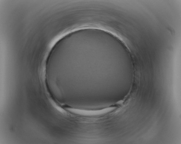 X0000114101519200910191632