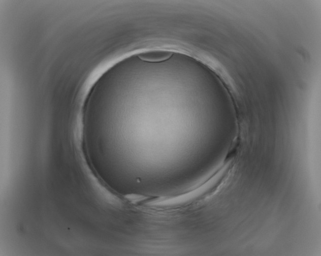 X0000114101520200910191632