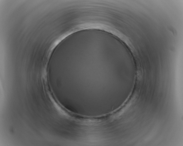 X0000114101521200910191632