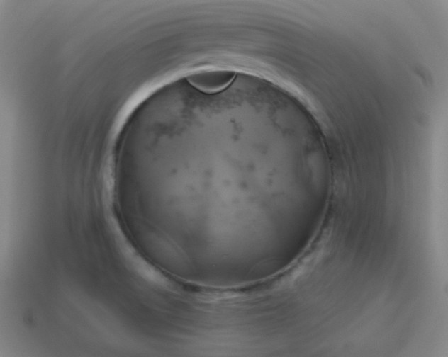 X0000114101522200910191632