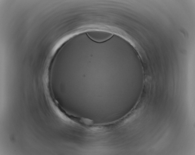 X0000114101523200910191632