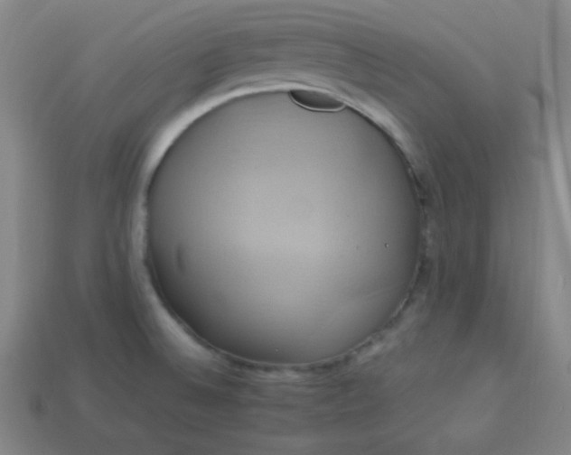 X0000114101524200910191632