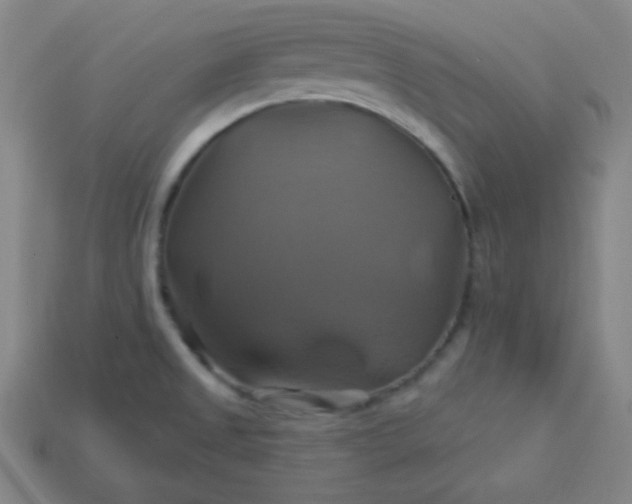 X0000114101525200910191632