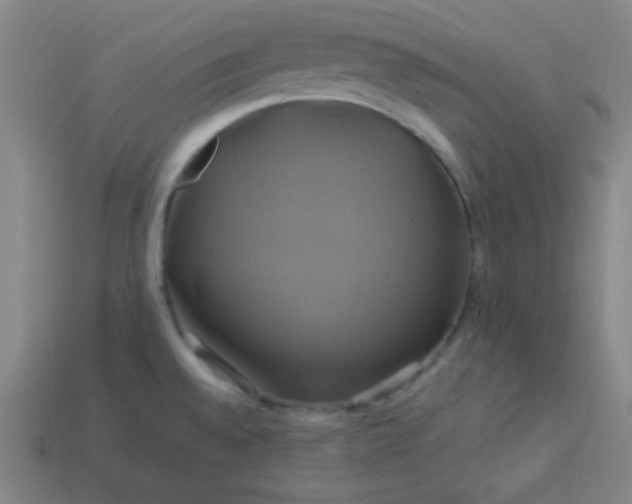 X0000114101528200910191632