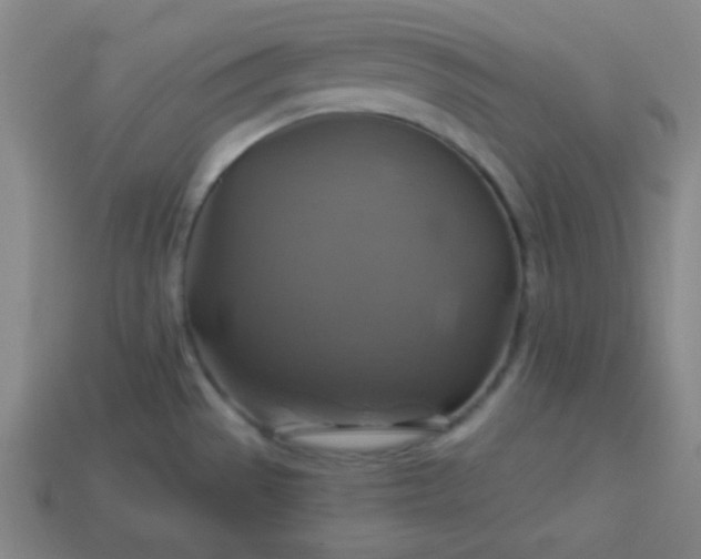 X0000114101529200910191632