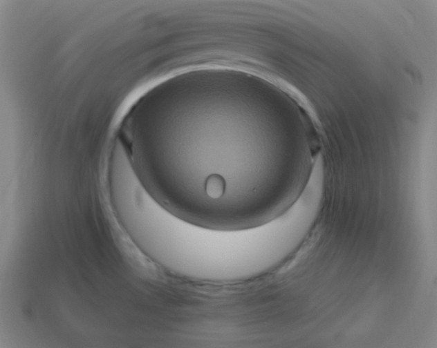 X0000114101530200910191632