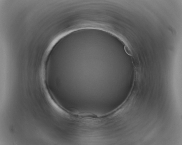 X0000114101531200910191632