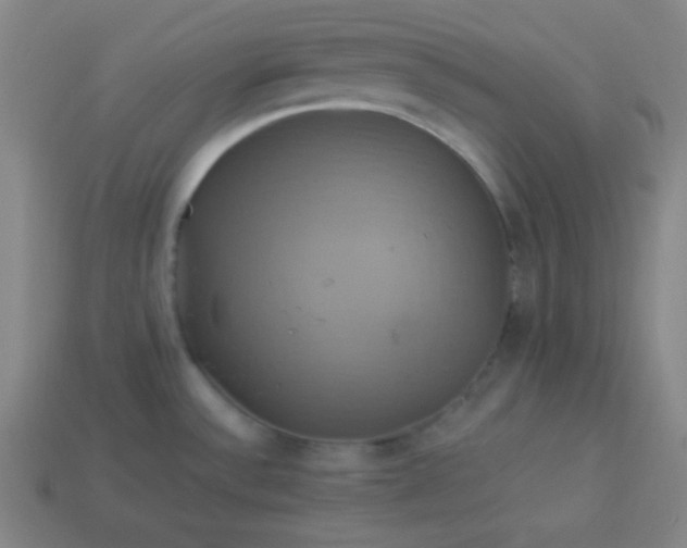 X0000114101532200910191632