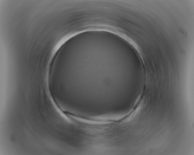 X0000114101533200910191632