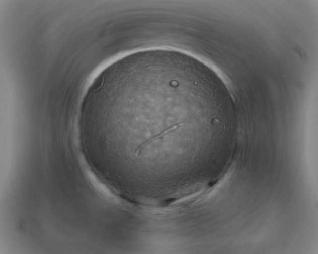 X0000114101534200910191632